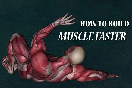 Effective TRICKS TO GAIN MUSCLE FASTER